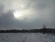 Кустолові Кущі з panoramio.com