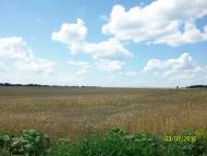 Михайлівка з panoramio.com