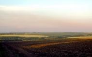 Новоолександрівка з panoramio.com