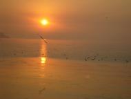 Стара Богданівка з panoramio.com