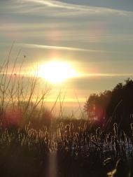 Дідовичі з panoramio.com