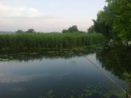 Стоянка з panoramio.com