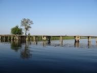 Хабарище з panoramio.com