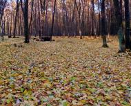 Гута-Ткачова з panoramio.com