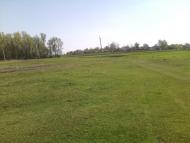 Степанівка з panoramio.com