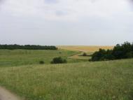 Василівка з panoramio.com