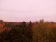 Ріпна з panoramio.com