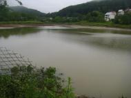 Пасіки-Зубрицькі з panoramio.com