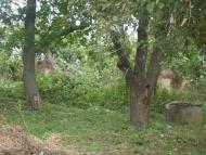 Кузьминці з panoramio.com