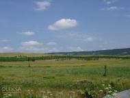 Мостове з panoramio.com