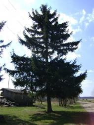 Мовники - Останні фото