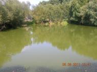 Пульмо з panoramio.com