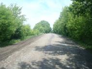 Черепова з panoramio.com