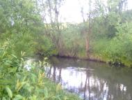 Кологори з panoramio.com