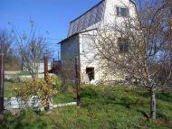 Трихати з panoramio.com