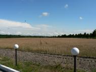 Путрівка з panoramio.com