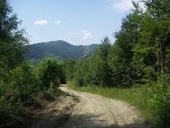 Бабин з panoramio.com