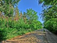 Пустельникове з panoramio.com