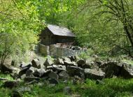 Новосілки з panoramio.com