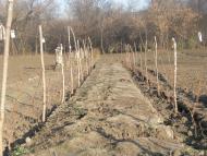 Кам'янка з panoramio.com