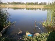 Спартак з panoramio.com