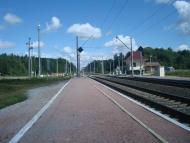 Купине з panoramio.com