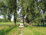 Ветли з panoramio.com