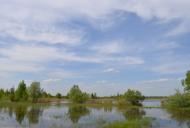 Берестянка з panoramio.com