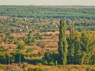 Калинове з panoramio.com