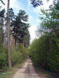 Вишняки з panoramio.com - Вишняки