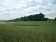 Мала Колибань з panoramio.com