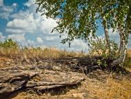 Кам'янка з panoramio.com