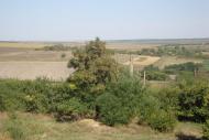 Сугокліївка з panoramio.com