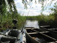 Товпижин з panoramio.com