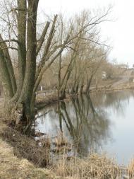 Саша з panoramio.com