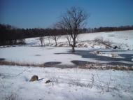 Кобалевиця з panoramio.com