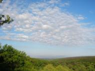 Горького з panoramio.com