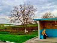 Лука з panoramio.com