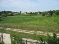 Березанка з panoramio.com