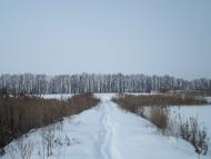 Зарванці з panoramio.com - Зарванцы