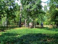 Вирка з panoramio.com