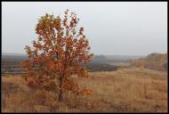 Петропавлівка з panoramio.com