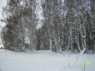 Кривецьке - Останні фото