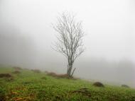 Карпатське з panoramio.com