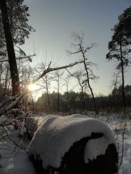 Дідовичі з panoramio.com