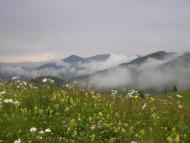 Верхній Яловець з panoramio.com