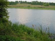 Змійове з panoramio.com