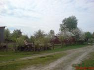 Макове з panoramio.com