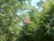 Семирічка з panoramio.com