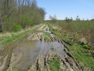 Антонівка з panoramio.com